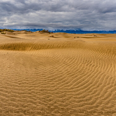 Rippling sand waves on the Death Valley floor.