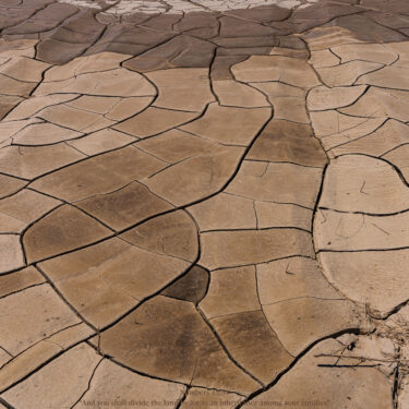 Nevada desert land cracked mud pies.