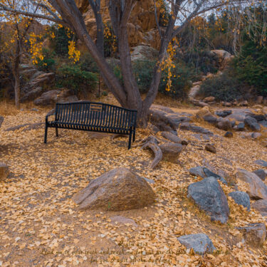 Iron park bench surrounded by fall leaves.