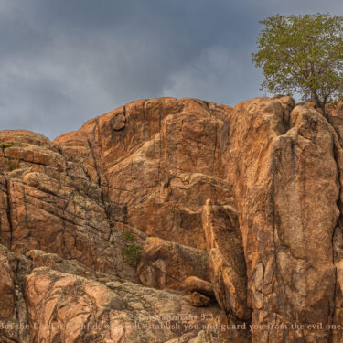 A single tree planted on a rock mountain formation