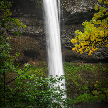 Autumn waterfall in the PNW.